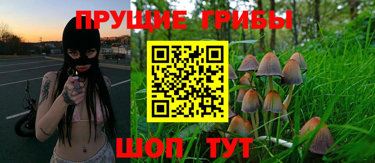 Йошкар-Ола  Псилоцибиновые грибы ЛСД  Вход с VPN 