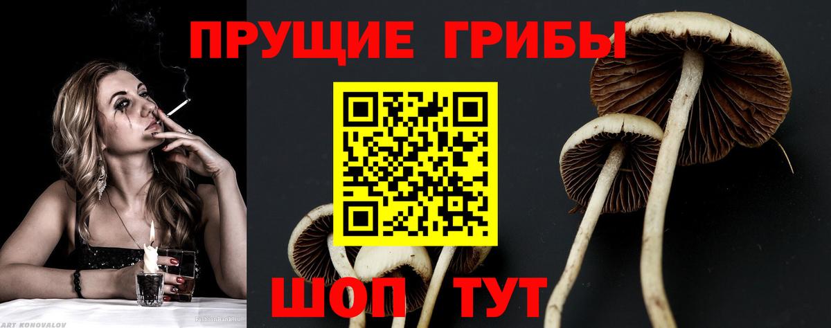 Галлюциногенные грибы прущие грибы Йошкар-Ола